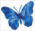 Butterfly Spirit Guide