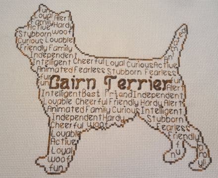 Cairn Terrier In Words