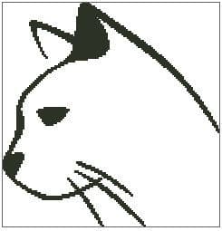 Cat Outline