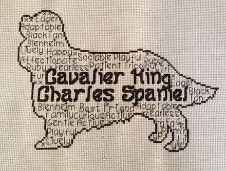 Cavalier King Charles Spaniel In Words