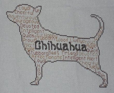 Chihuahua (Smooth Coat) In Words