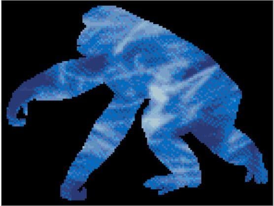 Chimpanzee Spirit Guide