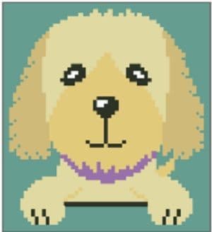 Cockapoo Quick Stitch