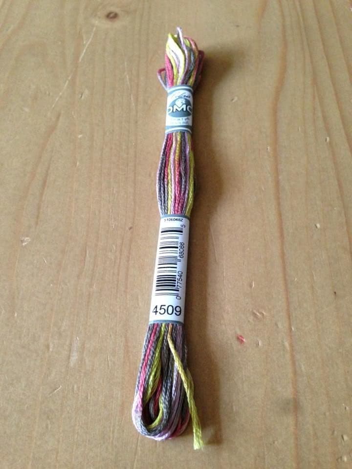DMC Coloris 4509