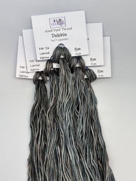 Dolphin - February 2026 Limited Edition