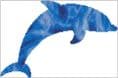 Dolphin Spirit Guide