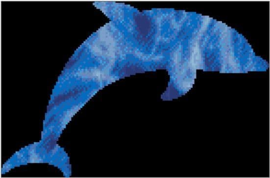 Dolphin Spirit Guide