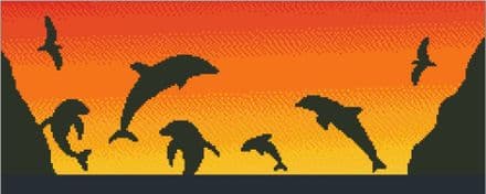 Dolphins at Sunset