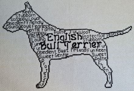 English Bull Terrier In Words