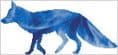 Fox Spirit Guide