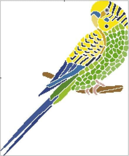 Fractured Budgie