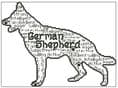 German Shepherd In Words