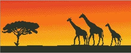 Giraffes at Sunset