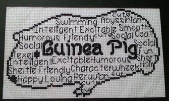 Guinea Pig In Words