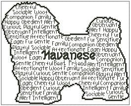 Havanese In Words