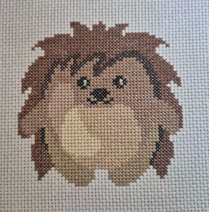 Hudson Hedgehog