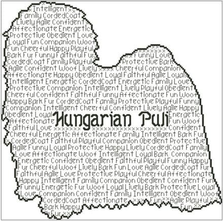 Hungarian Puli In Words