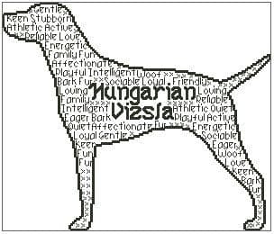 Hungarian Vizsla In Words