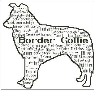 In Words Collie Personalised