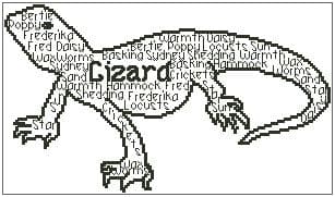 In Words - Lizard Personalised