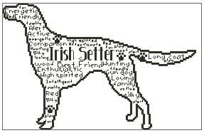 Irish Setter In Words