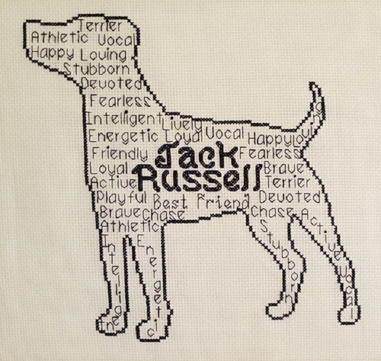 Jack Russell In Words