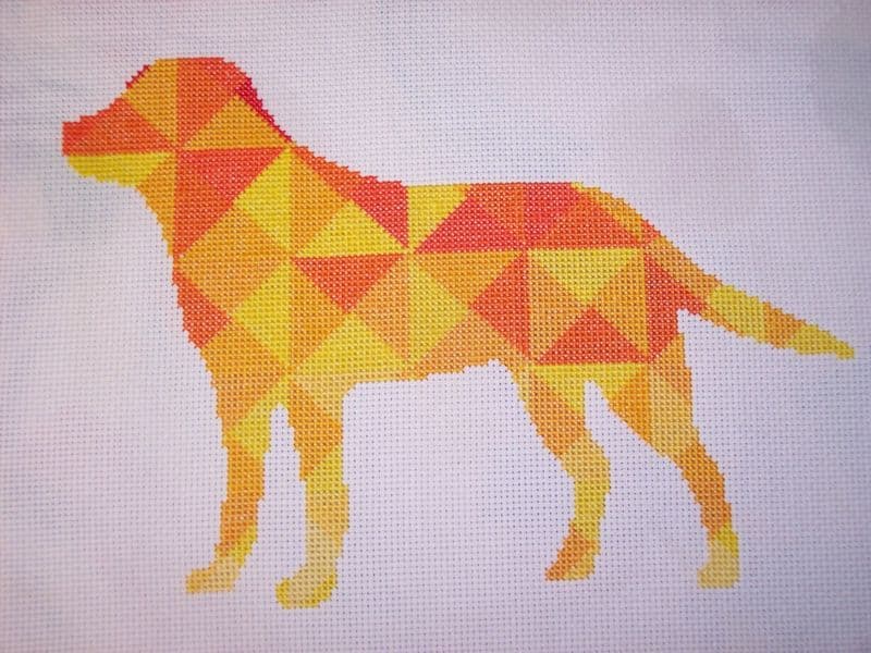Kaleidoscope Dog