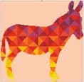 Kaleidoscope Donkey