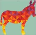 Kaleidoscope Donkey