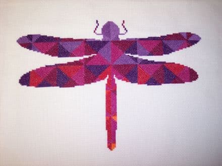 Kaleidoscope Dragonfly