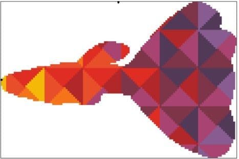 Kaleidoscope Guppy