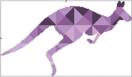 Kaleidoscope Kangaroo