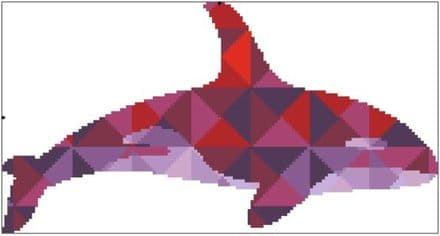 Kaleidoscope Orca
