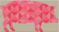 Kaleidoscope Pig