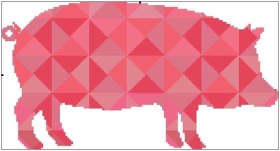 Kaleidoscope Pig
