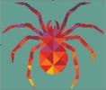 Kaleidoscope Spider