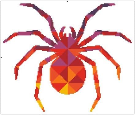 Kaleidoscope Spider