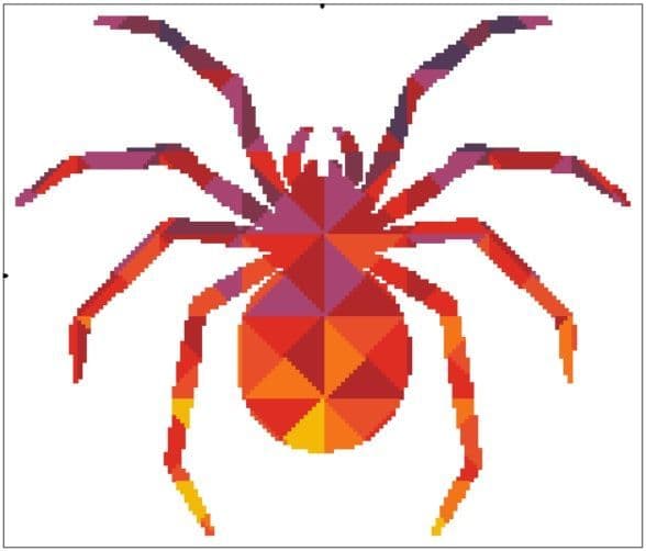 Kaleidoscope Spider
