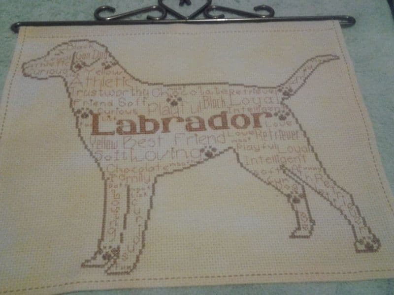Labrador In Words