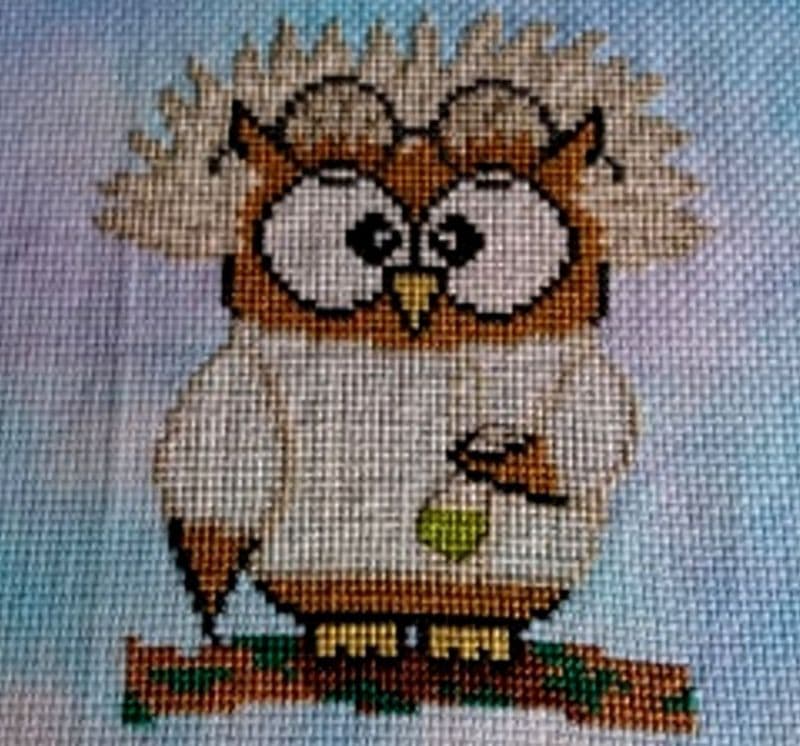 Mad Scientist Ollie Owl