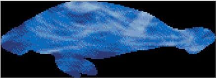 Manatee Spirit Guide