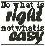 Mini Do What is Right