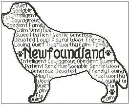 Newfoundland In Words