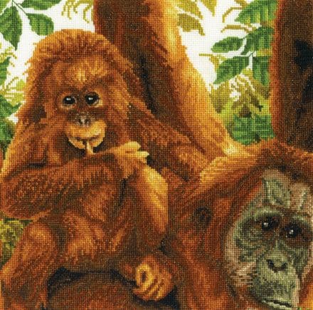 On Dad's Shoulder DMC Kit