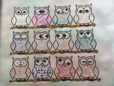 Owls