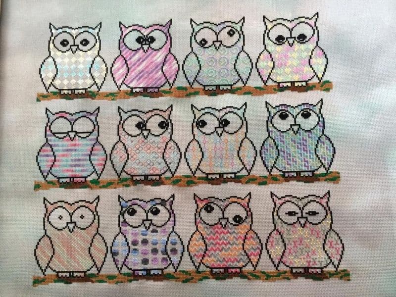 Owls