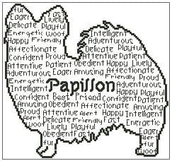 Papillon In Words