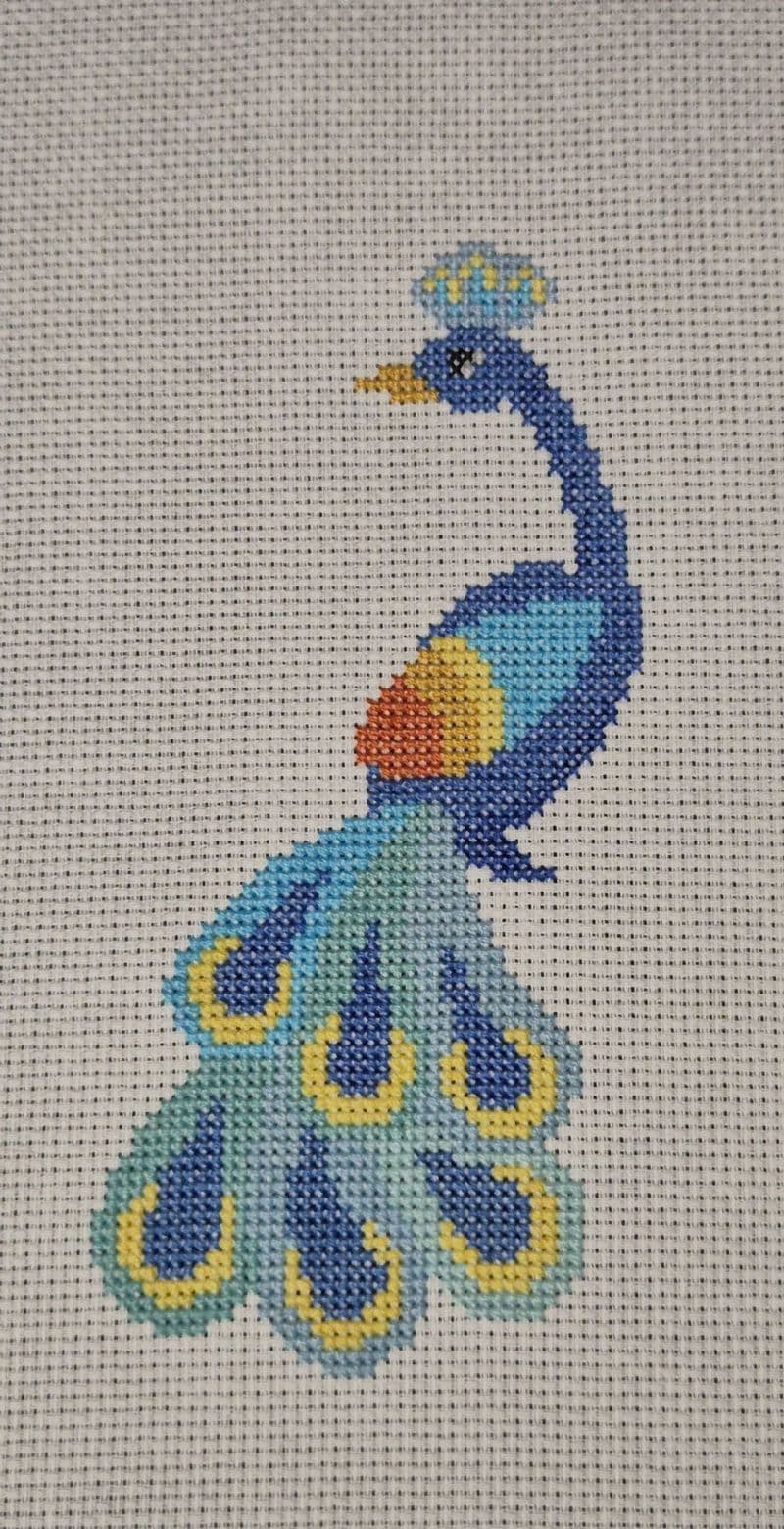 Parker Peacock