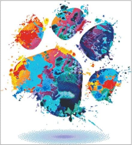 Paw Print Paint Splash