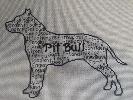 Pit Bull In Words